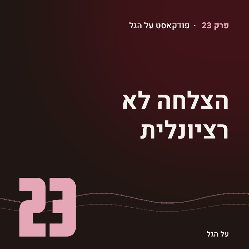 פרק 23 · הצלחה לא רציונלית